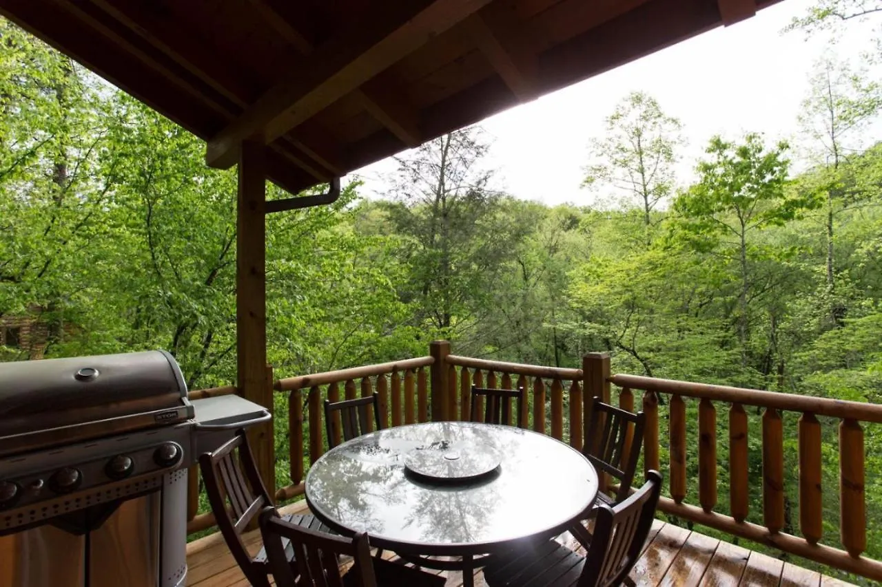 The Winding River House Holiday home Lake Lure