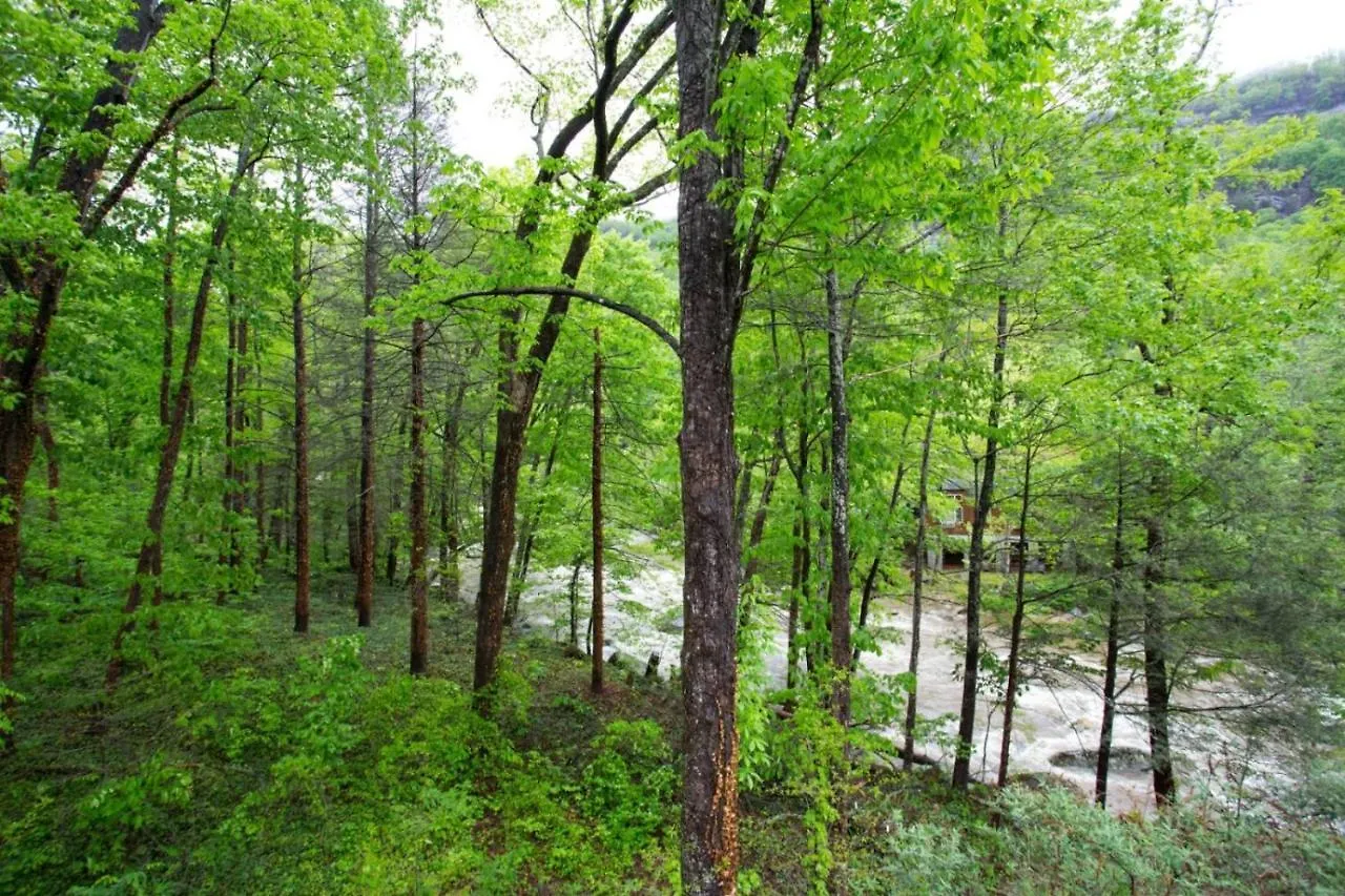 Mohicans Landing Holiday home Lake Lure