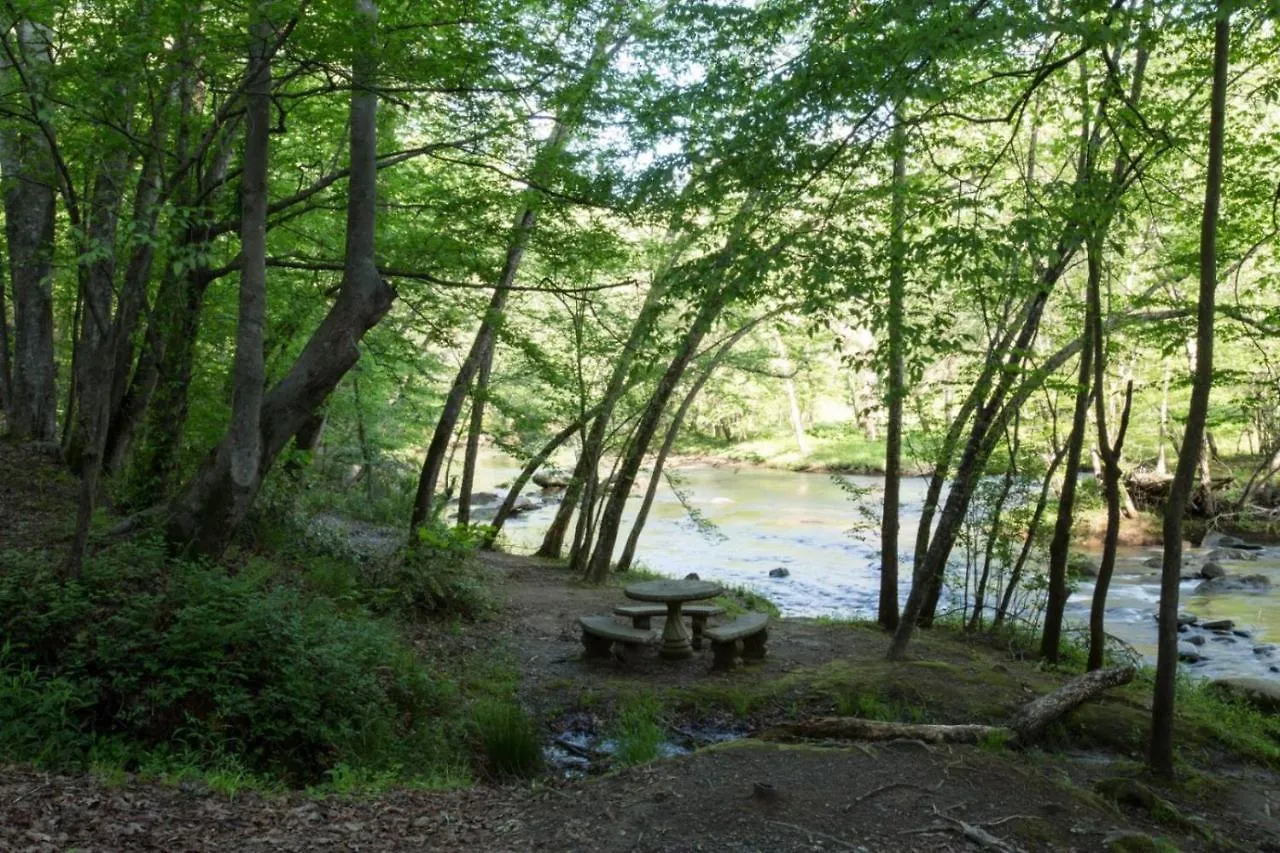 Holiday home Creekside Lake Lure