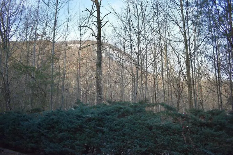 Casa vacanze Lazy Bear Lake Lure