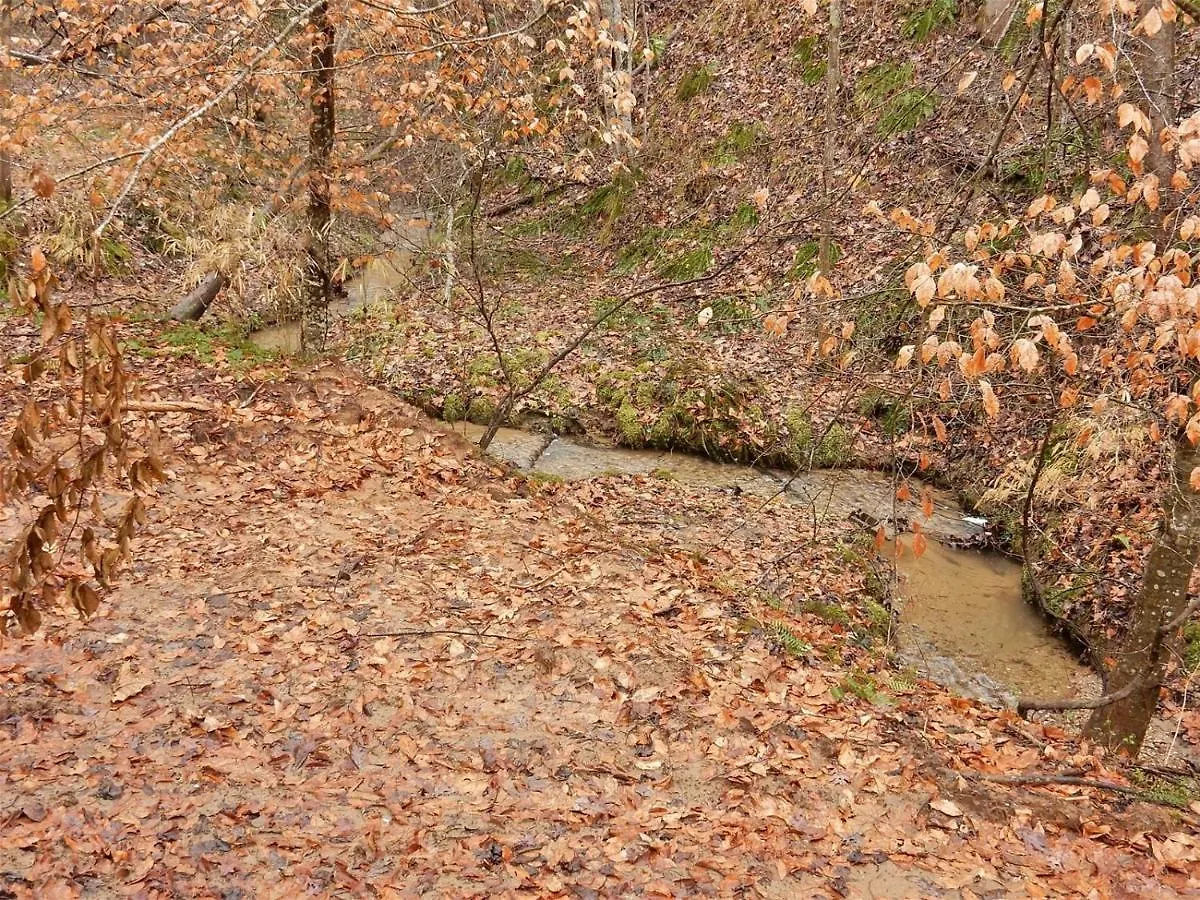 Creekside Holiday home *