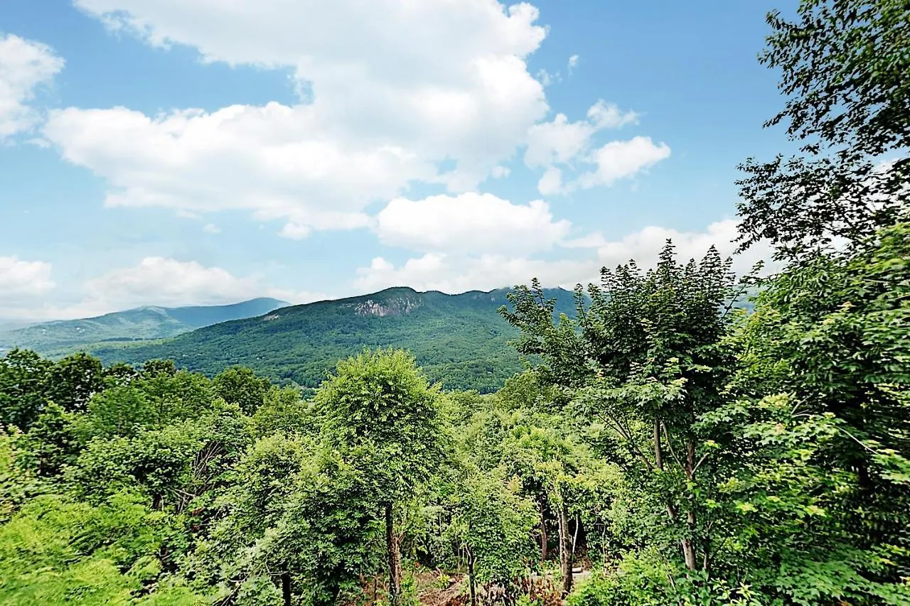 Young's Mountain Hideaway