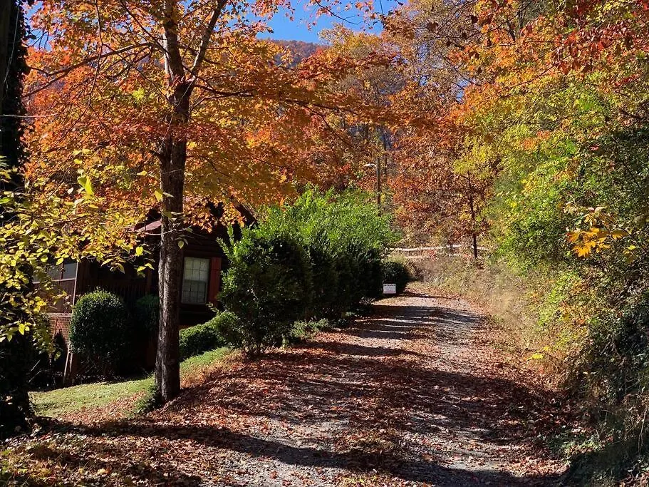 Log Walkable To Lure & Chimney Rock - Blue Skies * Lake Lure