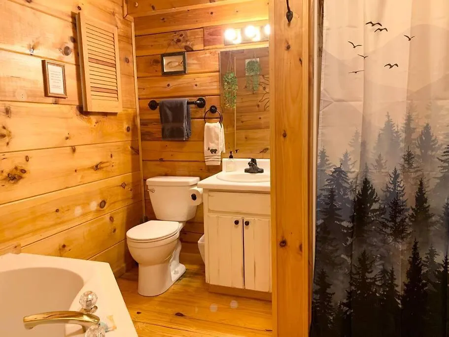 Log Walkable To Lure & Chimney Rock - Blue Skies Lake Lure