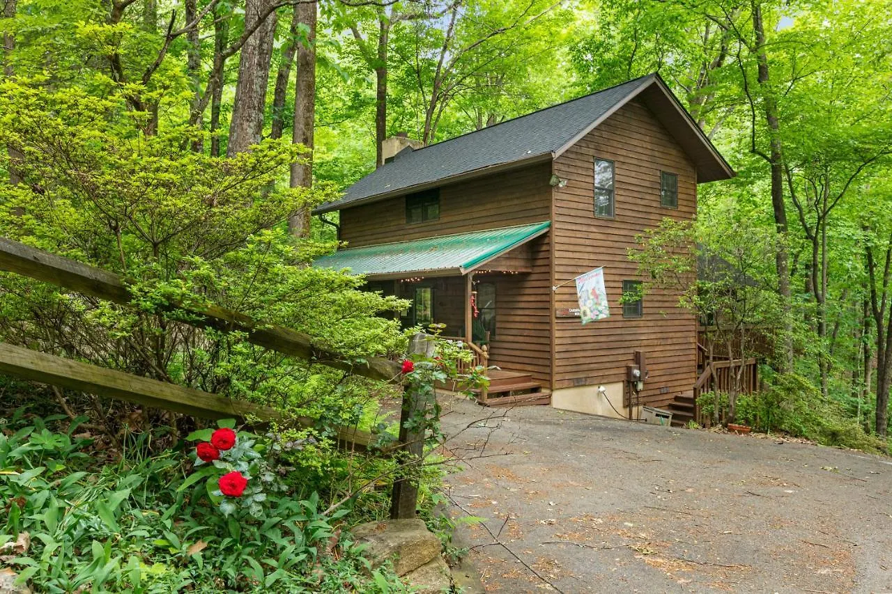 Carolina Cardinal House * Lake Lure