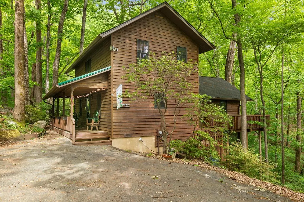 Carolina Cardinal House *
