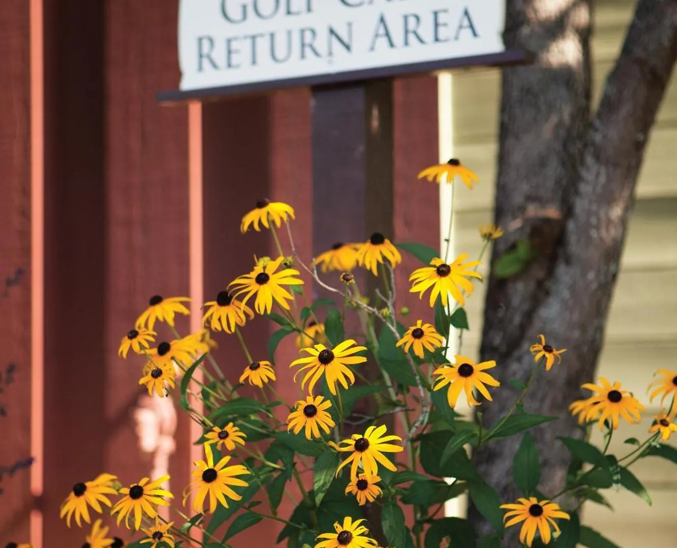 Club Wyndham At Fairfield Mountains 3*