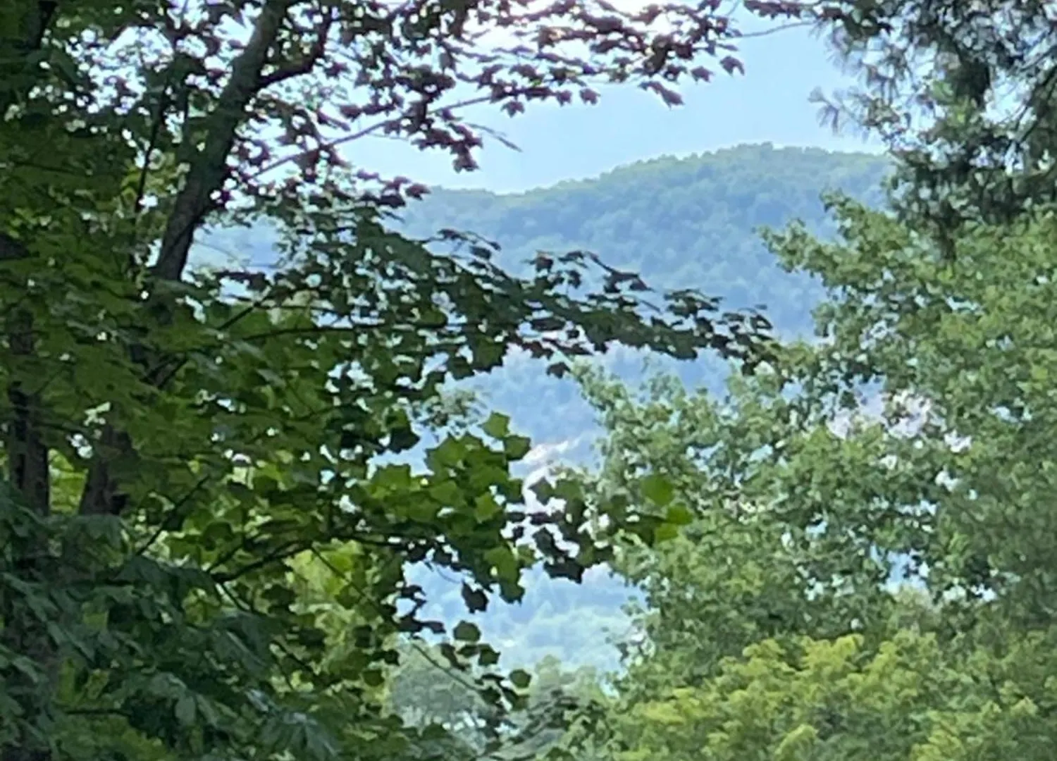 Nees Nest Holiday home Lake Lure
