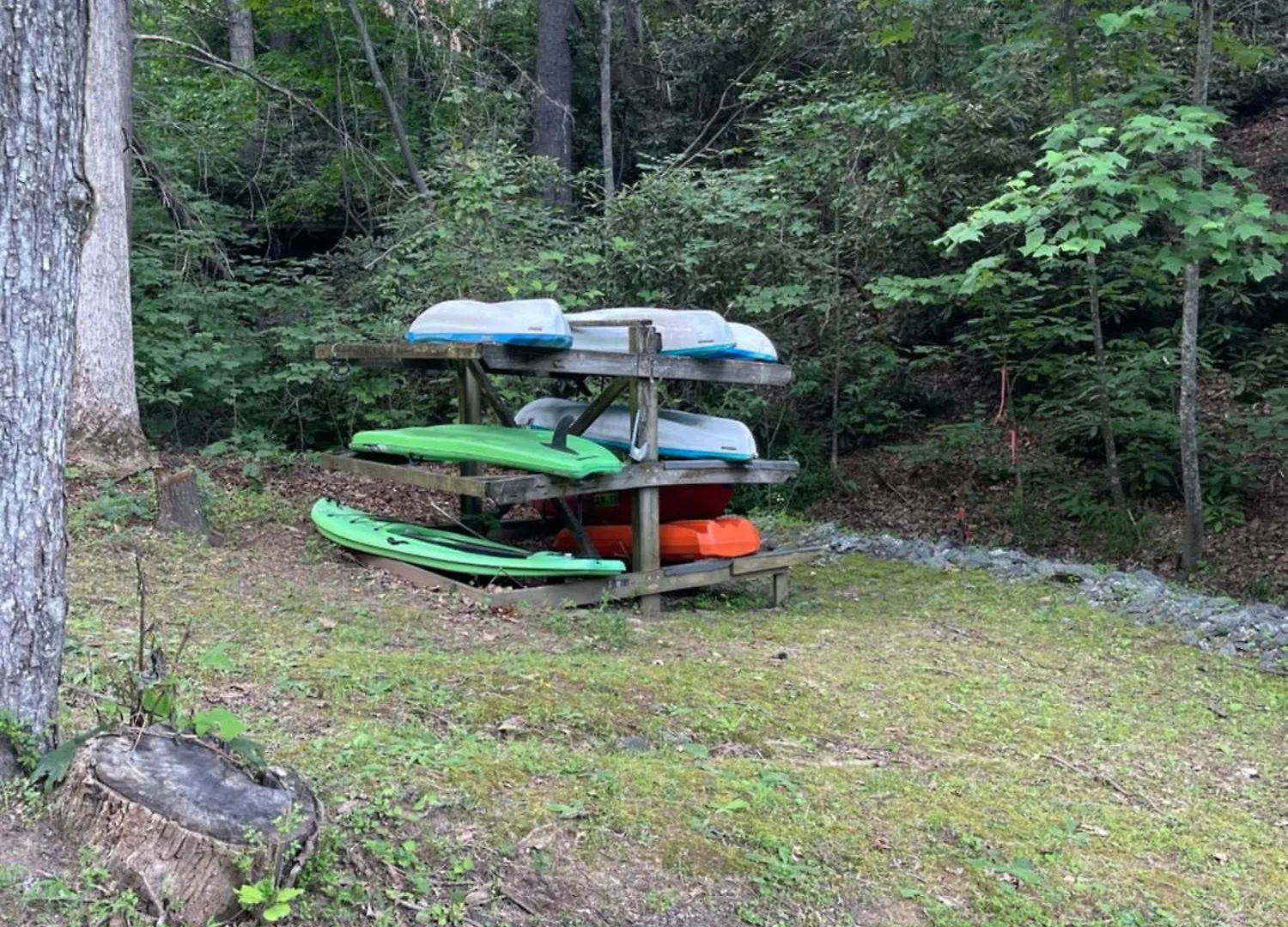 Nees Nest * Lake Lure