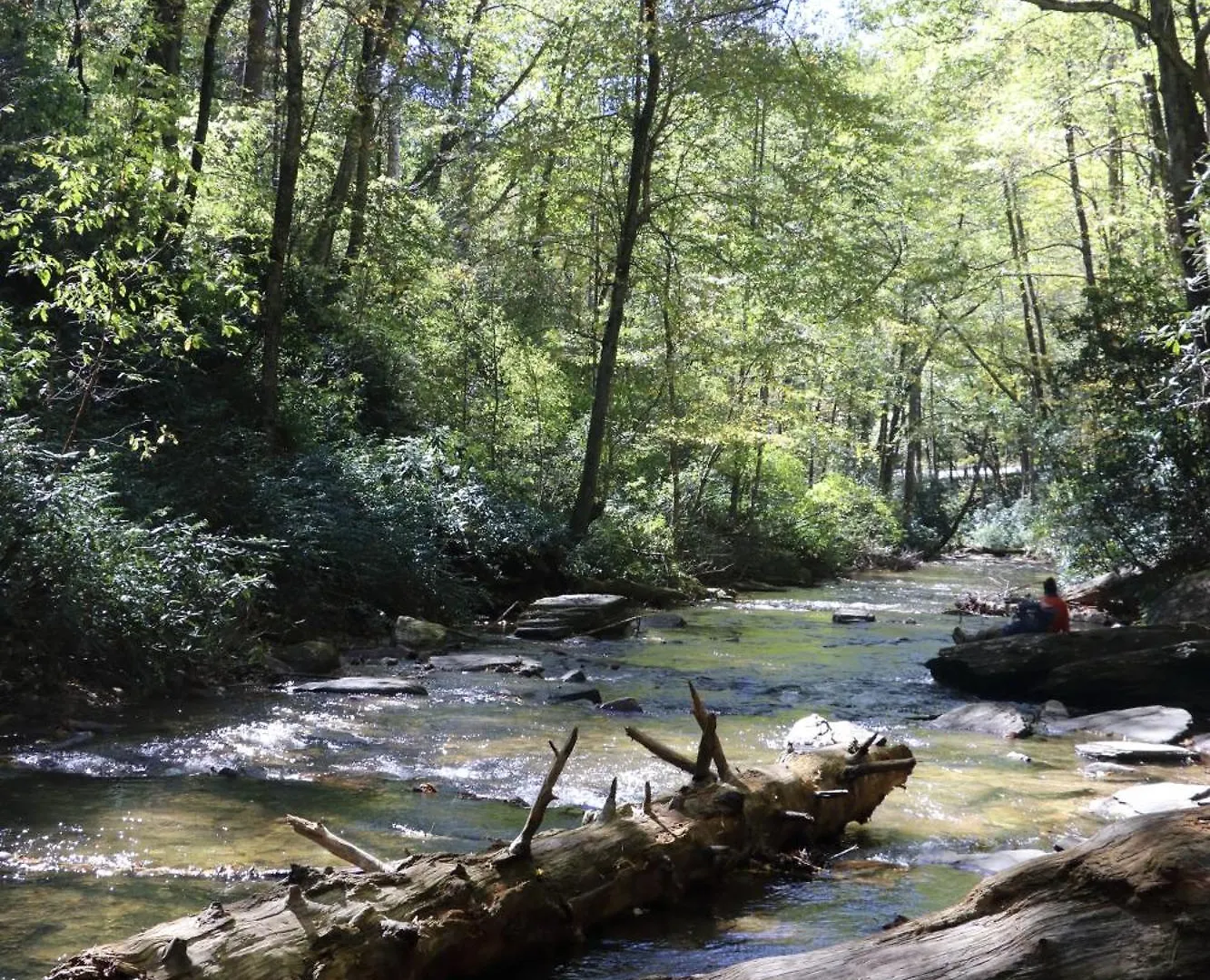 Laurelwood At Lure, Nc - Sleeps 12 Lake Lure