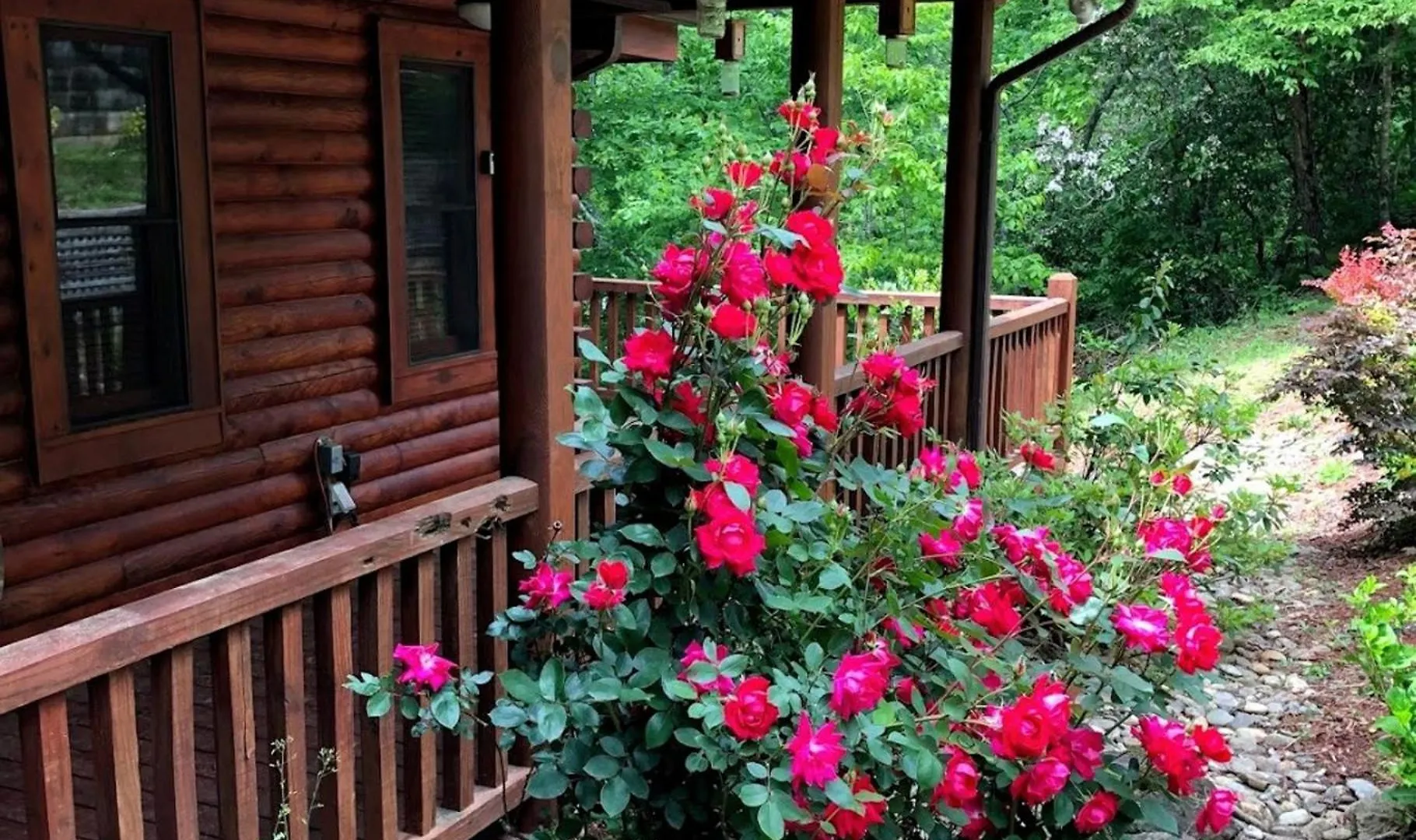 Laurelwood At Lure, Nc - Sleeps 12 Holiday home Lake Lure
