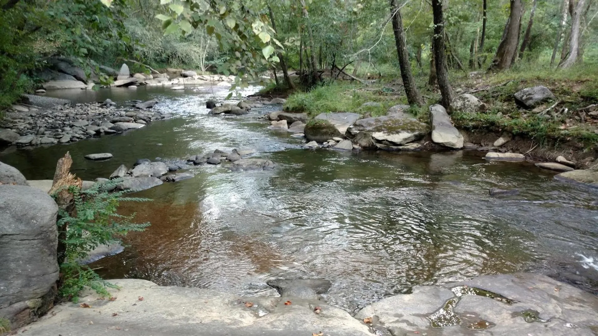 Laurelwood At Lure, Nc - Sleeps 12 Lake Lure