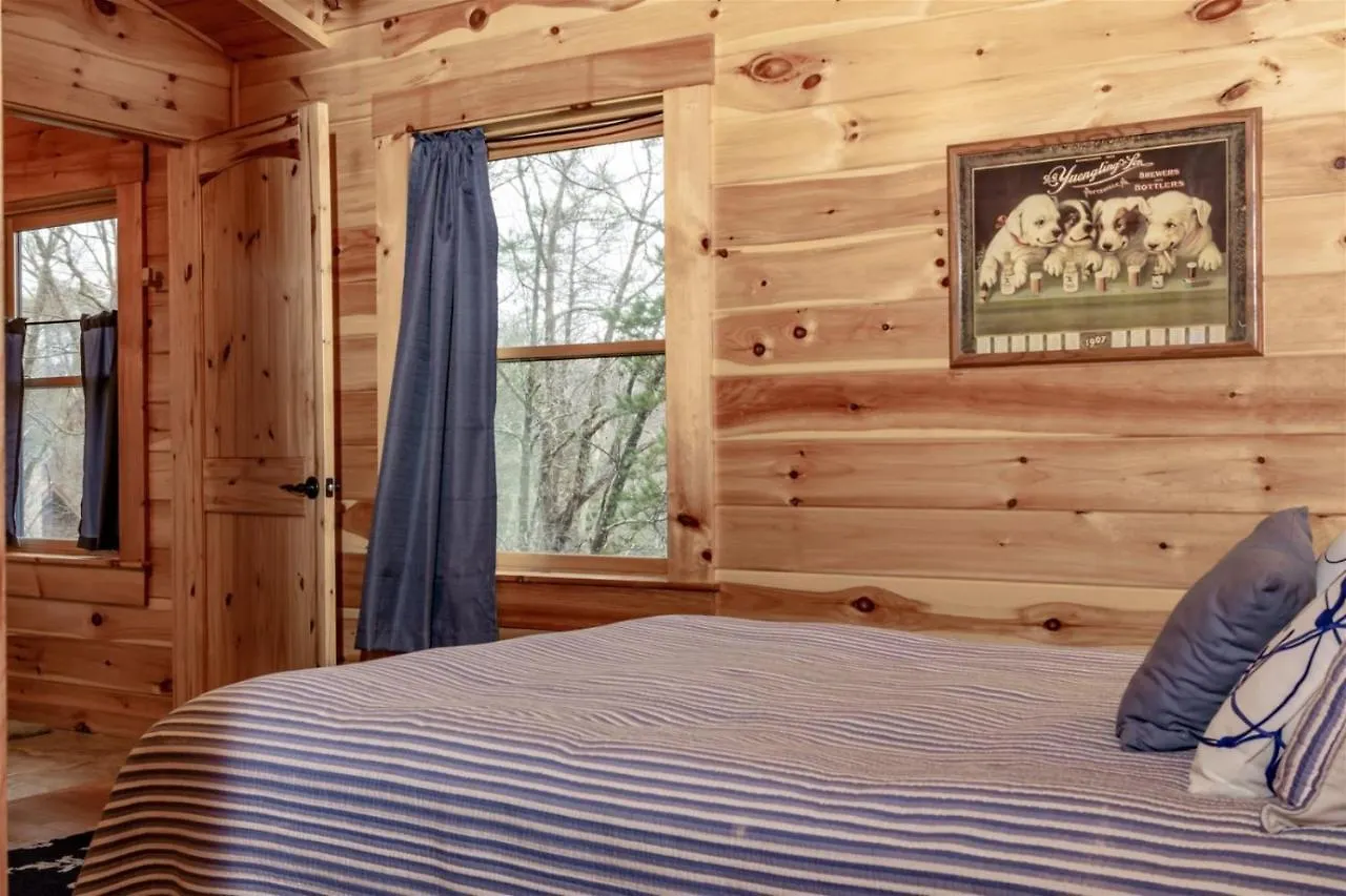 Gray Goose - Carolina Vacation Holiday home Lake Lure